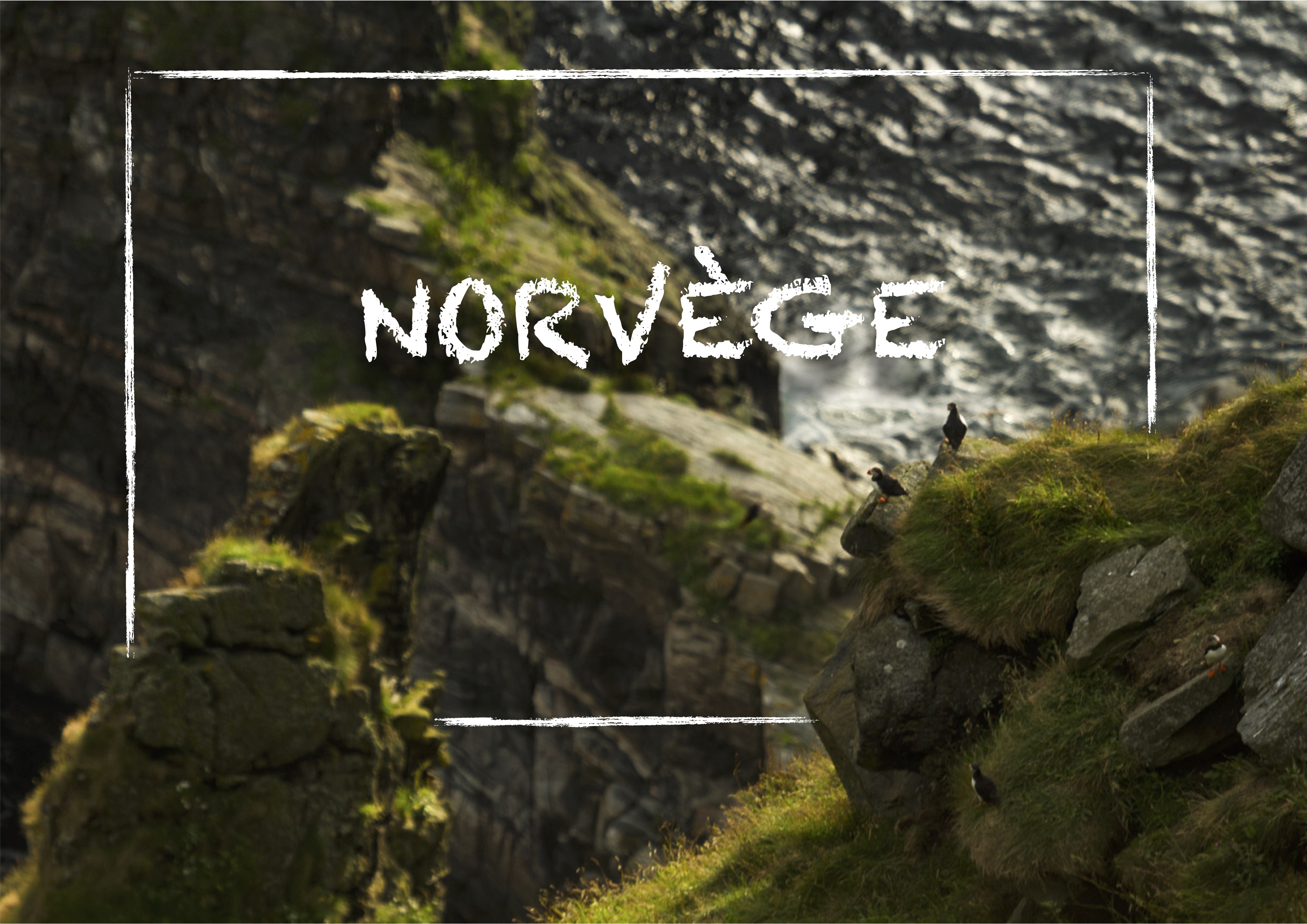 norvege page